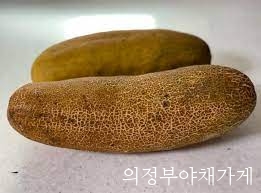 노각.jpg