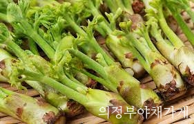 두룹.jpg